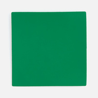 Лейбл Listra Soft Touch, L, зеленый