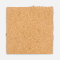 Лейбл кожаный Sinatu, L, бежевый