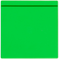 Лейбл из ПВХ Kare, зеленый неон