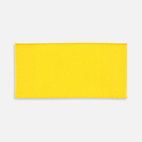 Лейбл тканевый Epsilon, XXS, желтый